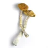Buy Golden Emperor Mushrooms - Golden Emperor Shrooms - Golden Emperor Magic Mushroom